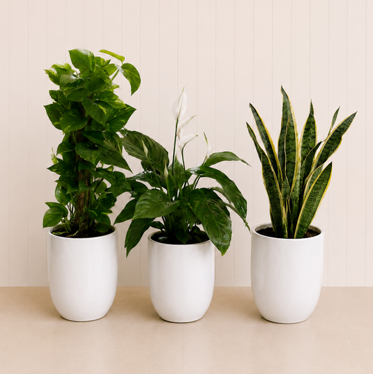 Living Room Bundle
