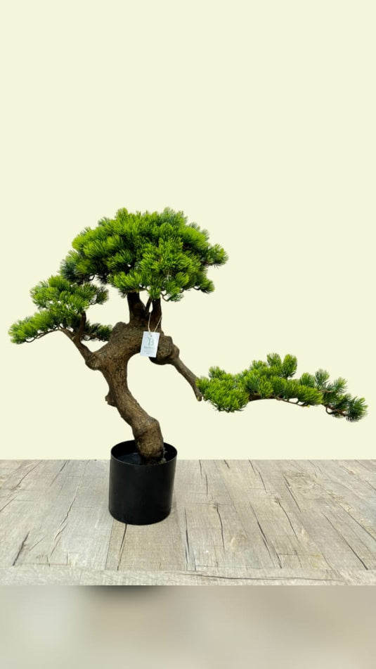 Artificial Bonsai