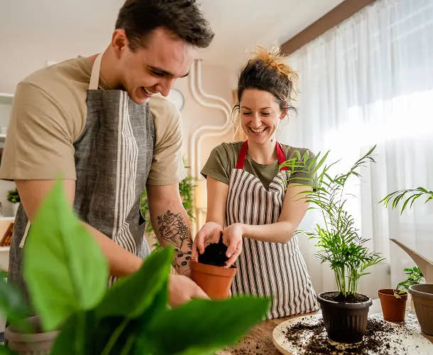 Why Plant Lovers Choose My Plants