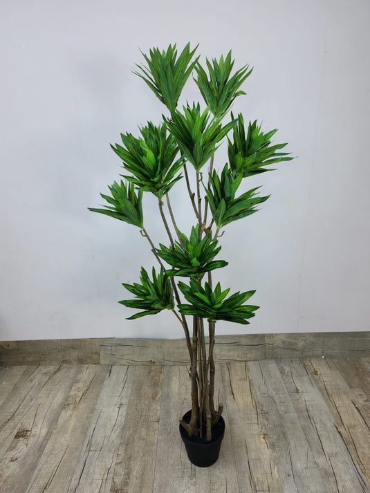 Artificial Dracaena Marginata