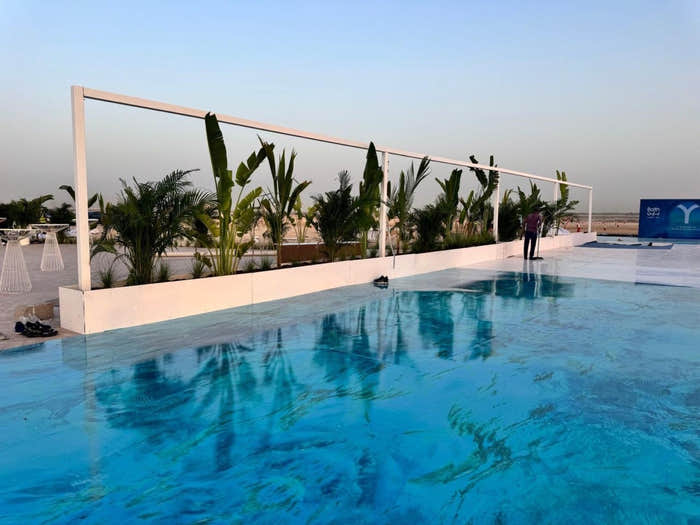 Pool deck with mature palms in raised beds at a beach club in Dubai