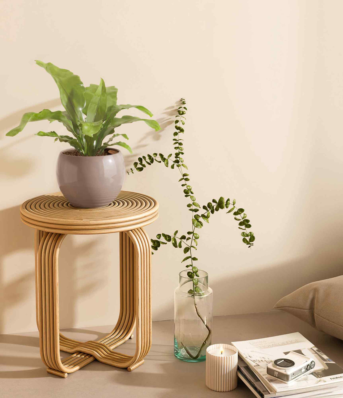 Bird's nest fern in a gray pot on a bamboo side table