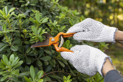An outdoor garden during maintenance work