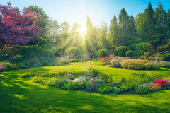 An outdoor garden with planted beds and greenery