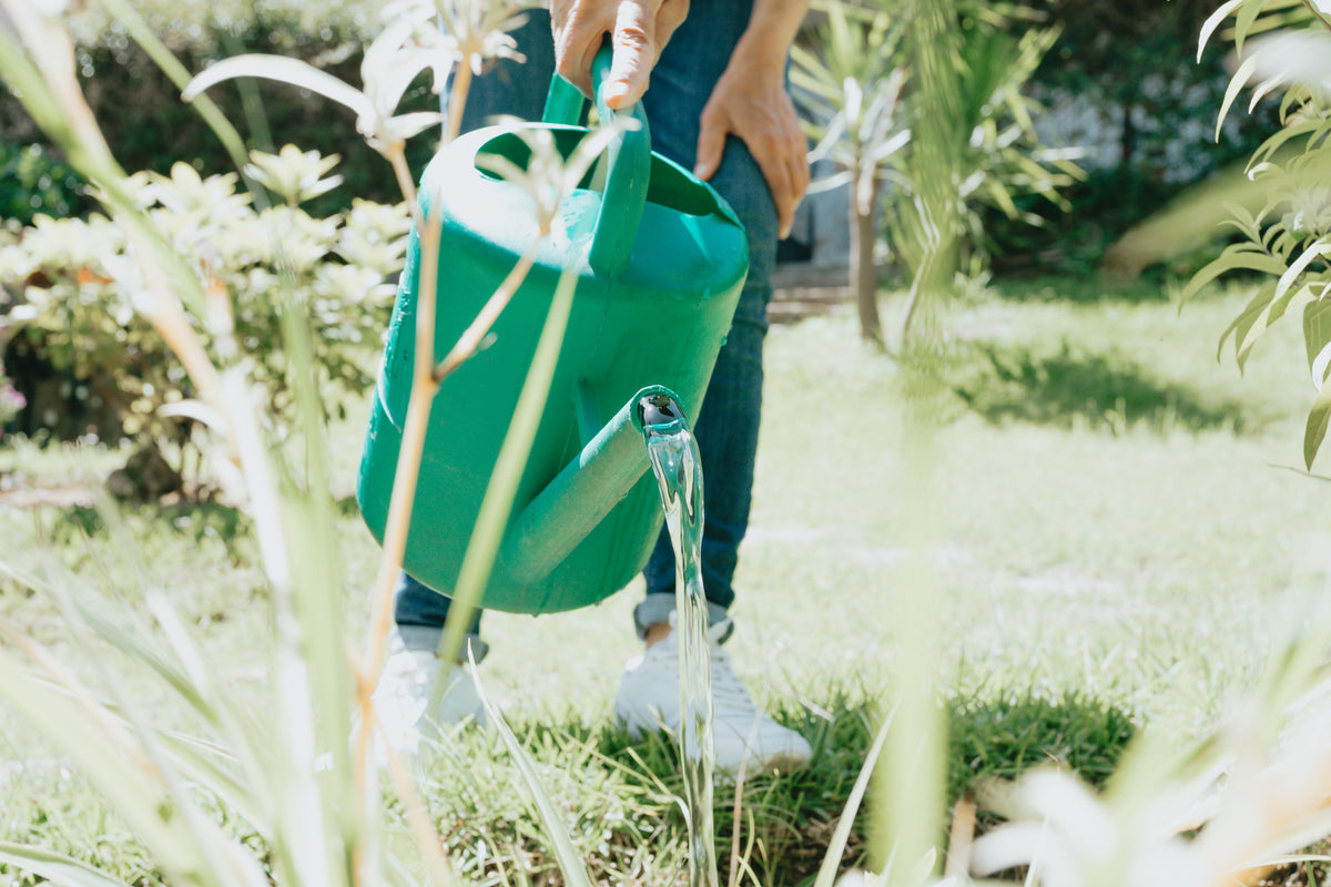 A green watering can pouring water onto plants in an outdoor garden bed