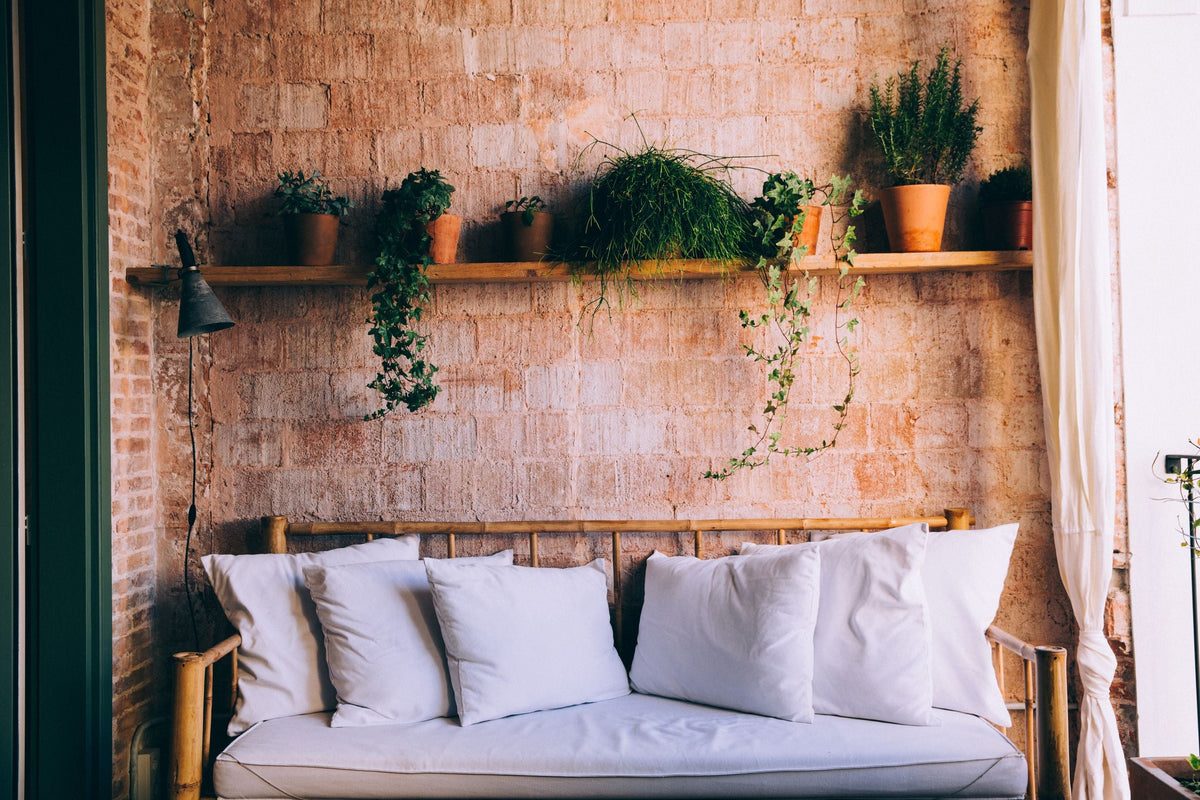 Indoor plants on shelves beside a couch in a sunlit living room