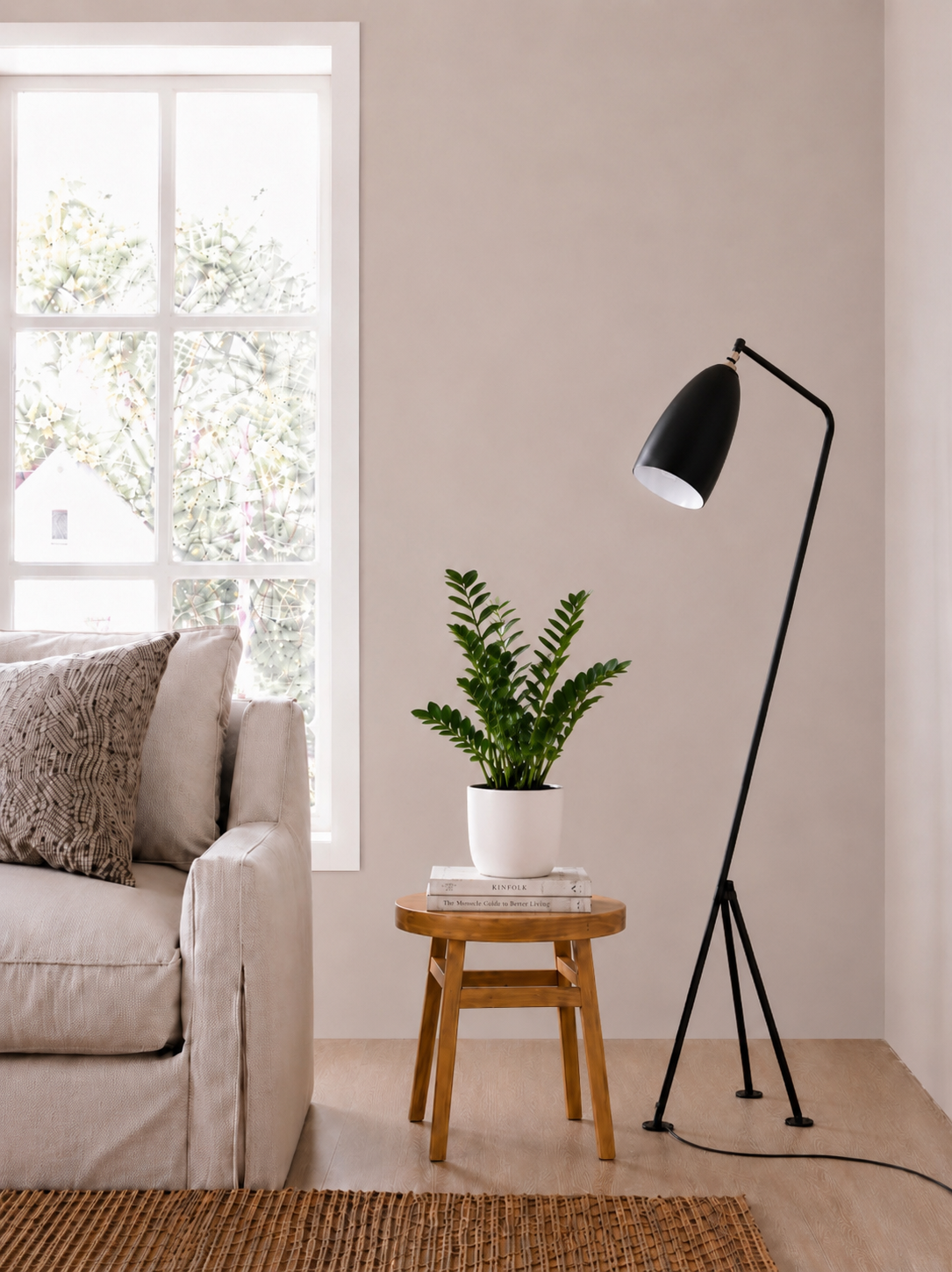 Zamia Plant / ZZ plant