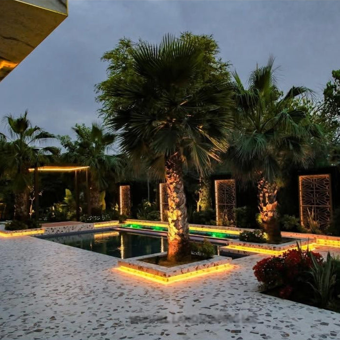 Evening view of a pool area with palm trees and decorative lighting.