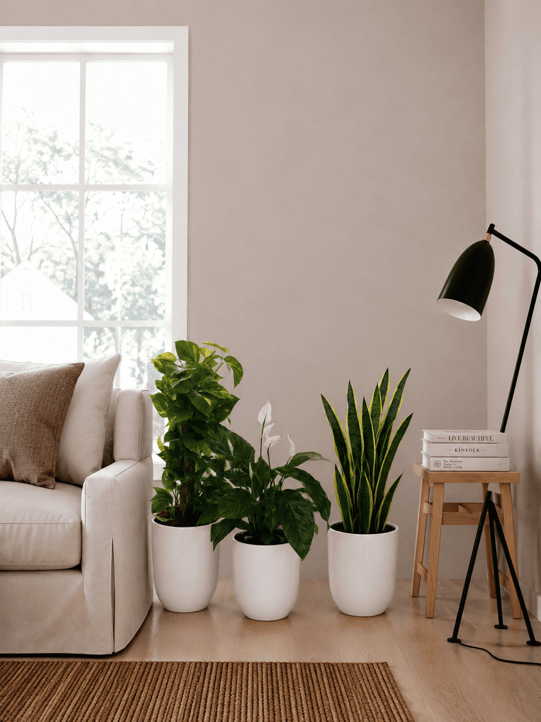Indoor plant bundle with three white ceramic pots of leafy plants and snake plant.