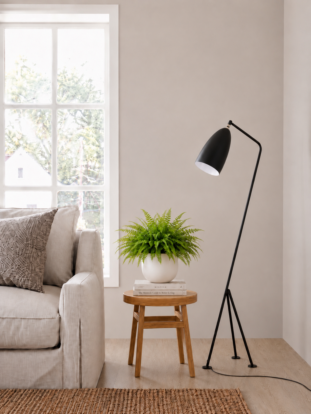 Boston Fern