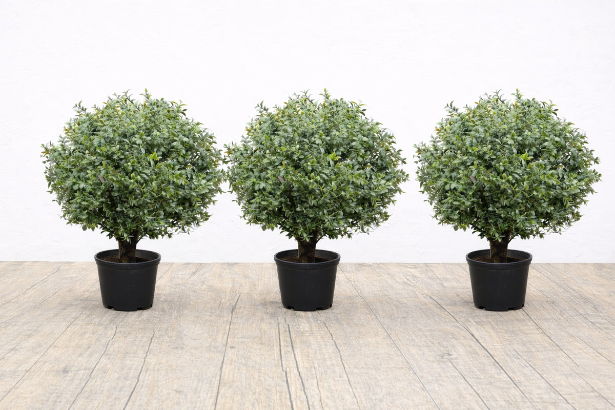 Set of three artificial green topiary ball trees in black pots