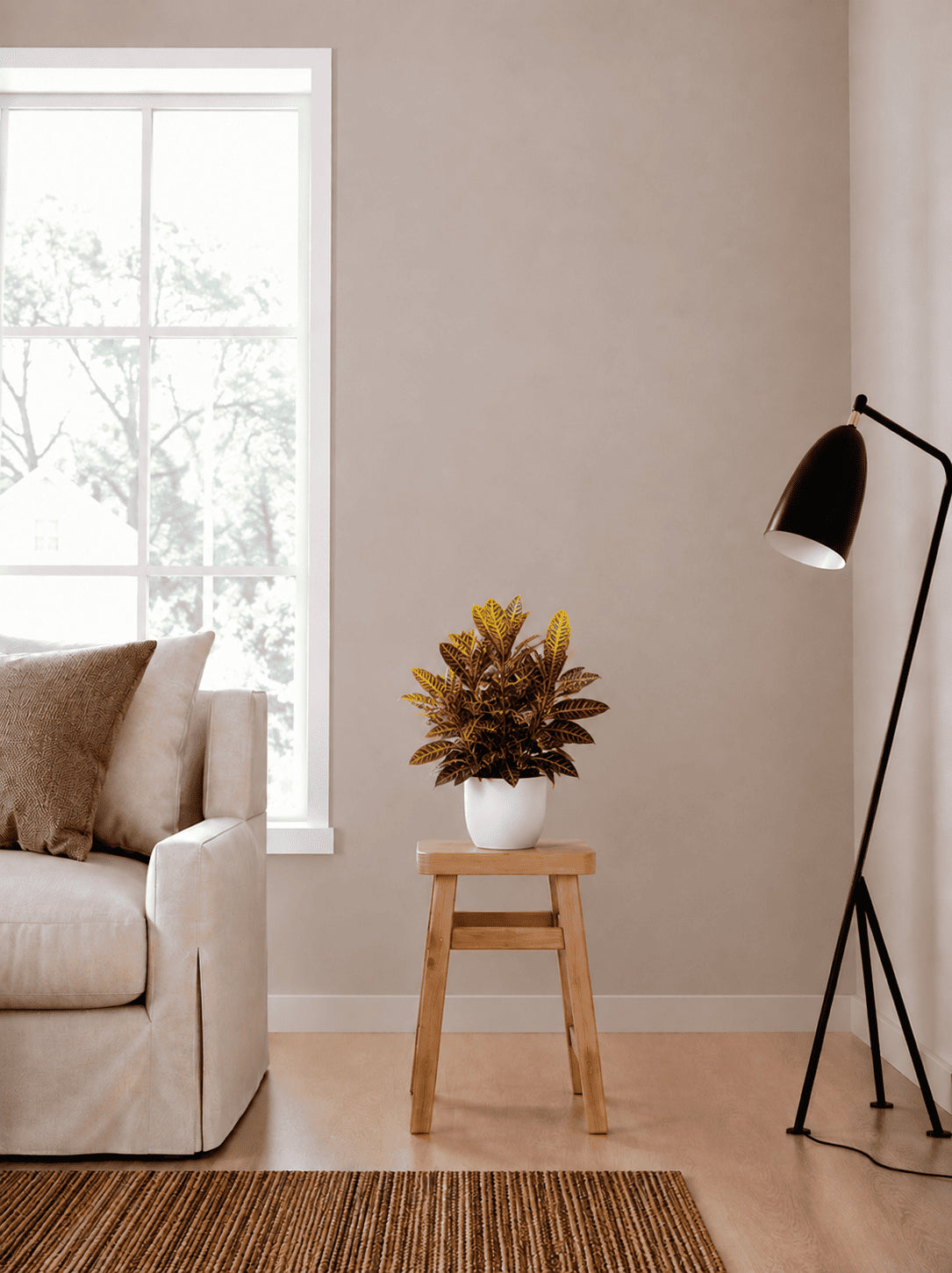 Variegated indoor leafy plant in white pot on wooden stand