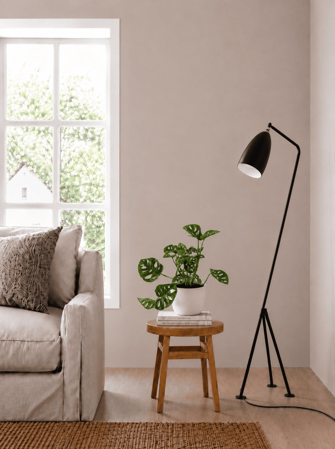 Monkey Monstera plant in white pot on small wooden stand
