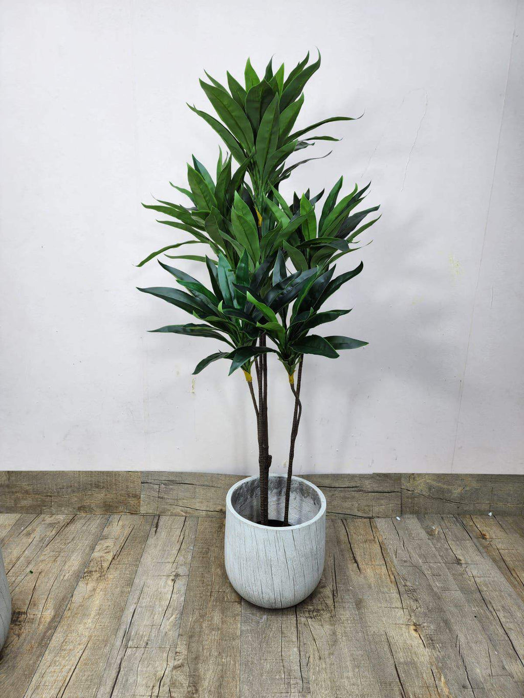 Artificial dracaena reflexa in white ceramic pot with green spiky leaves, tall stem