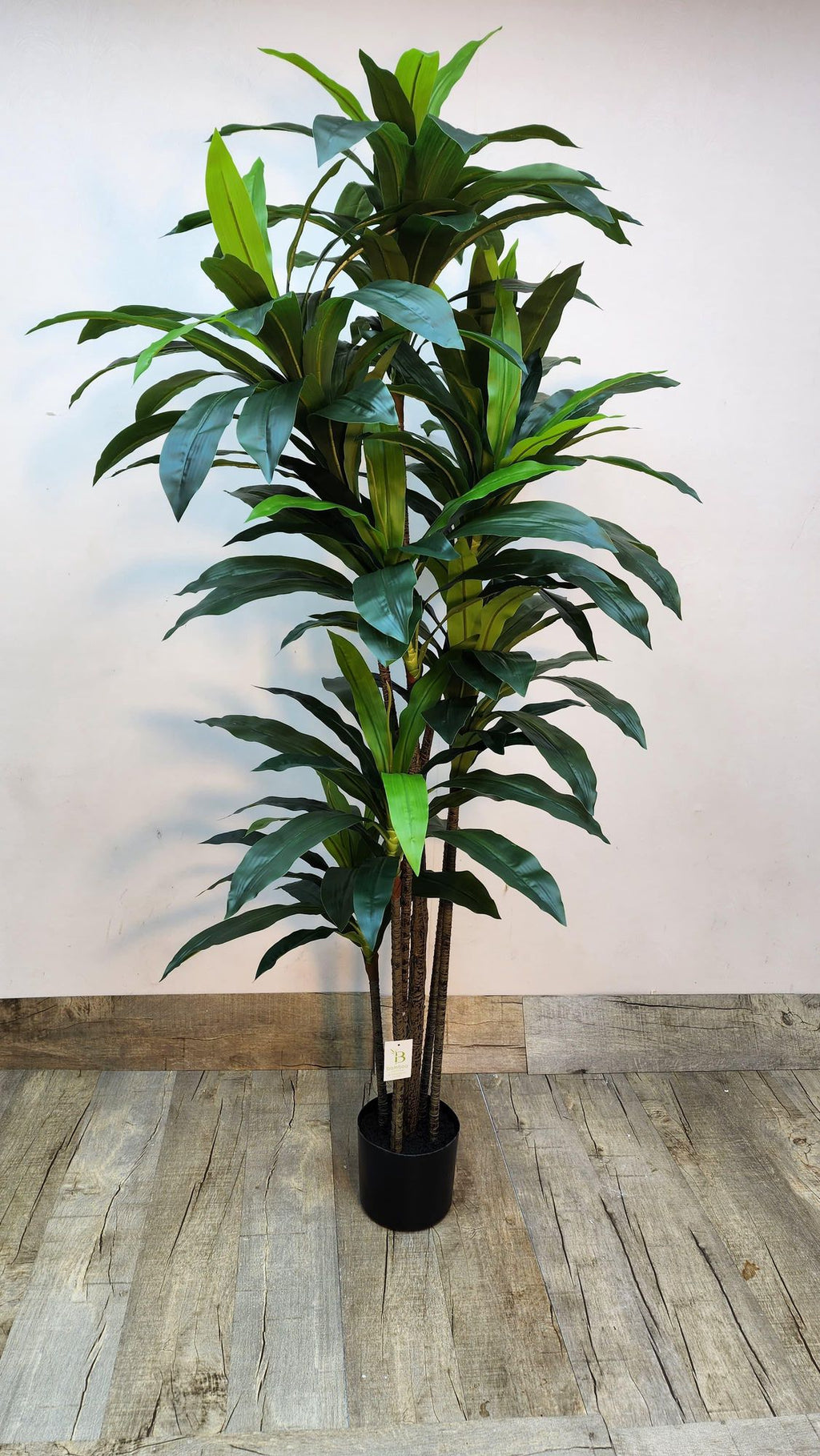 Artificial dracaena plant with green and blue-green striped leaves in a black pot