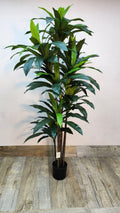 Artificial Dracaena Plant