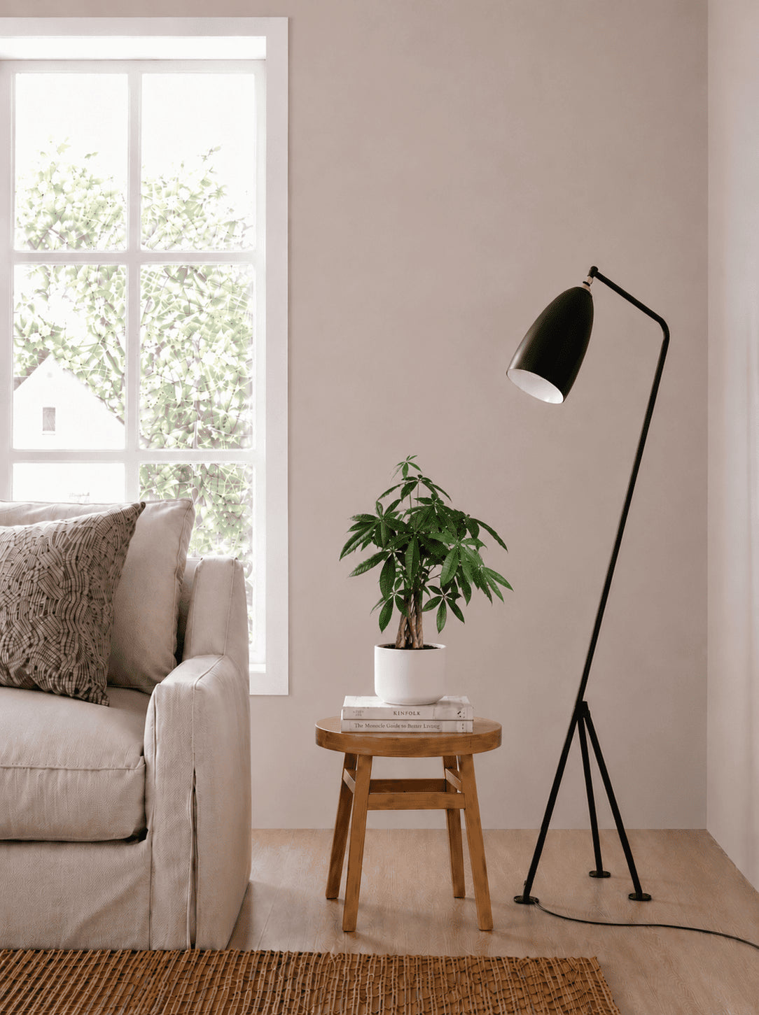 Pachira plant in small white pot on a wooden stool next to a floor lamp
