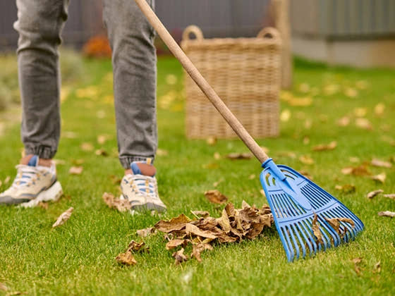 Cleaning