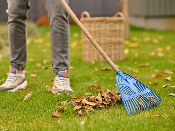Cleaning