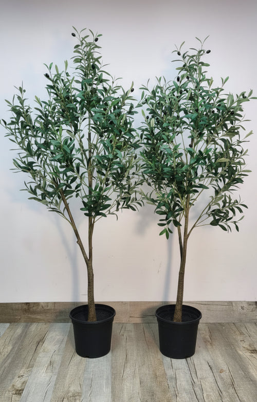 Artificial olive trees duo in two black pots, dense green leaf clusters and thin stems
