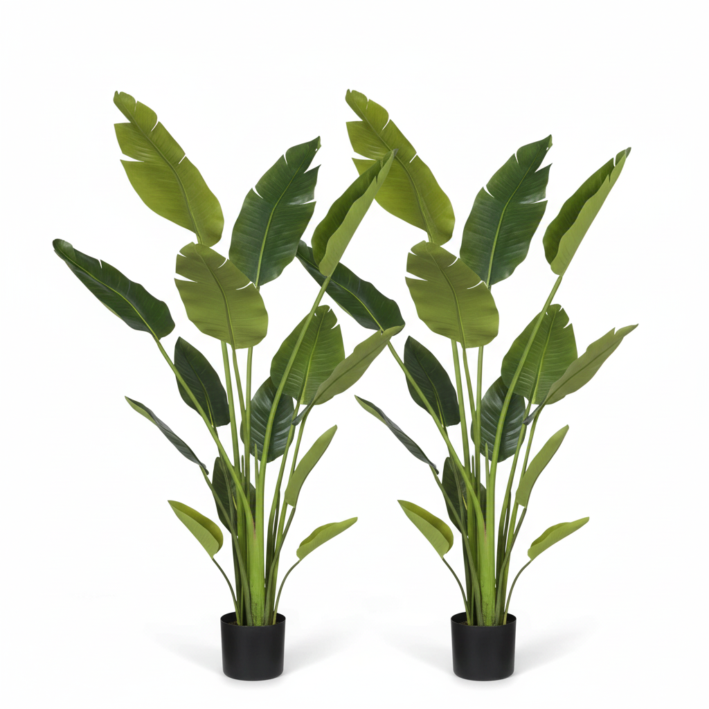 Duo of potted traveller palm-style plants with tall green leaves in black pots