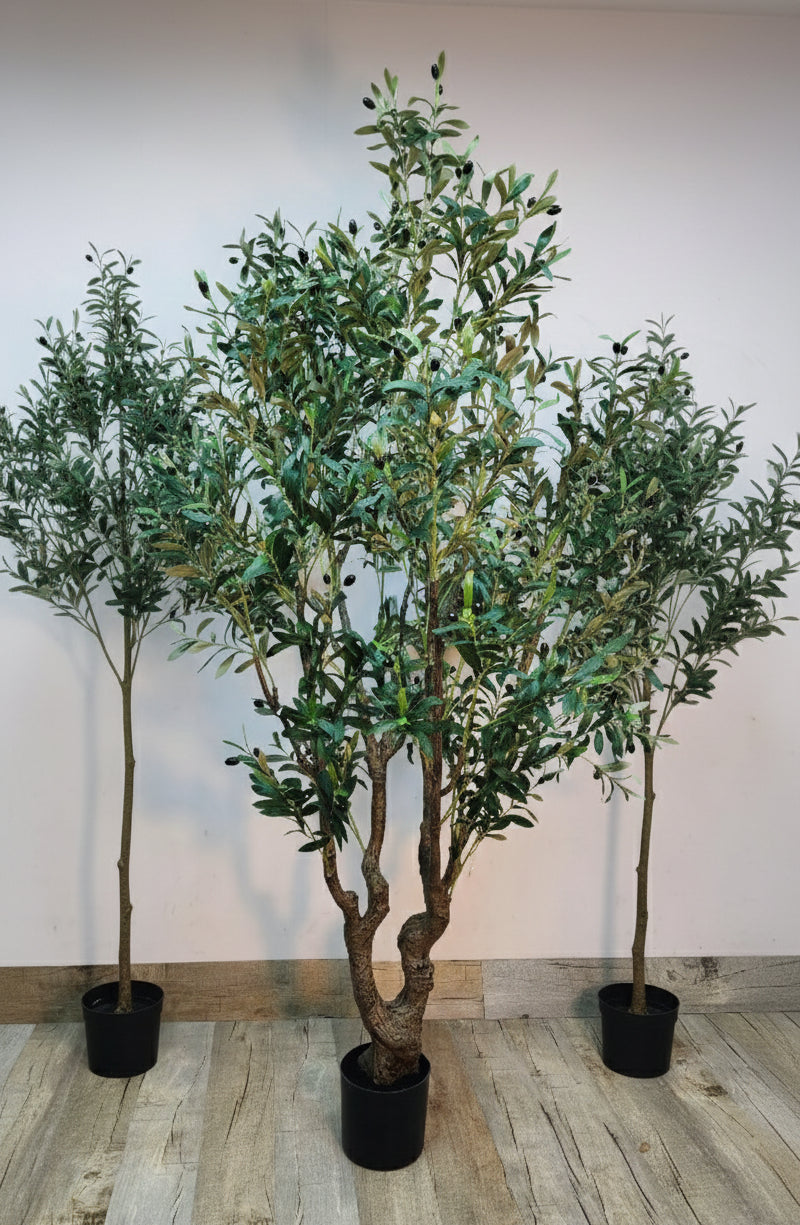 Artificial Mediterranean set of potted olive-style trees, multiple stems in black pots