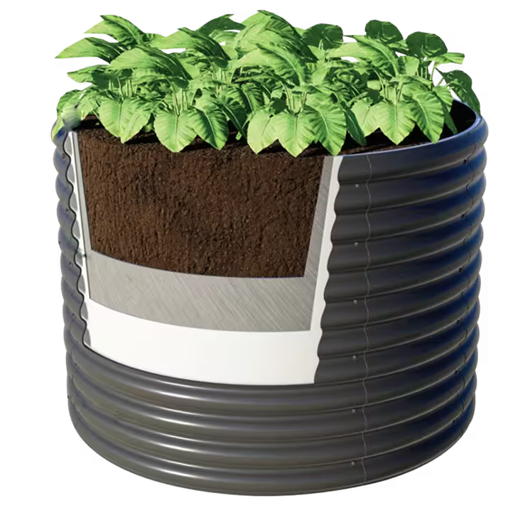 Dubai Favourite Way to Buy Plants Online