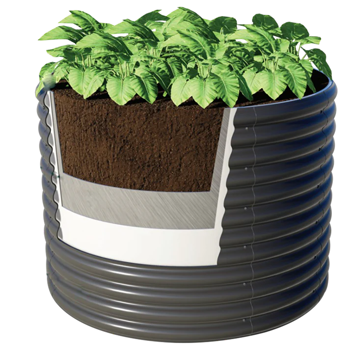 Dubai Favourite Way to Buy Plants Online