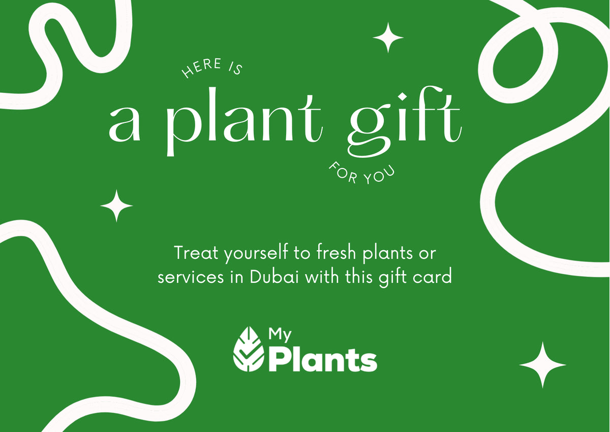 Green digital gift card with 'a plant gift' text and MyPlants logo