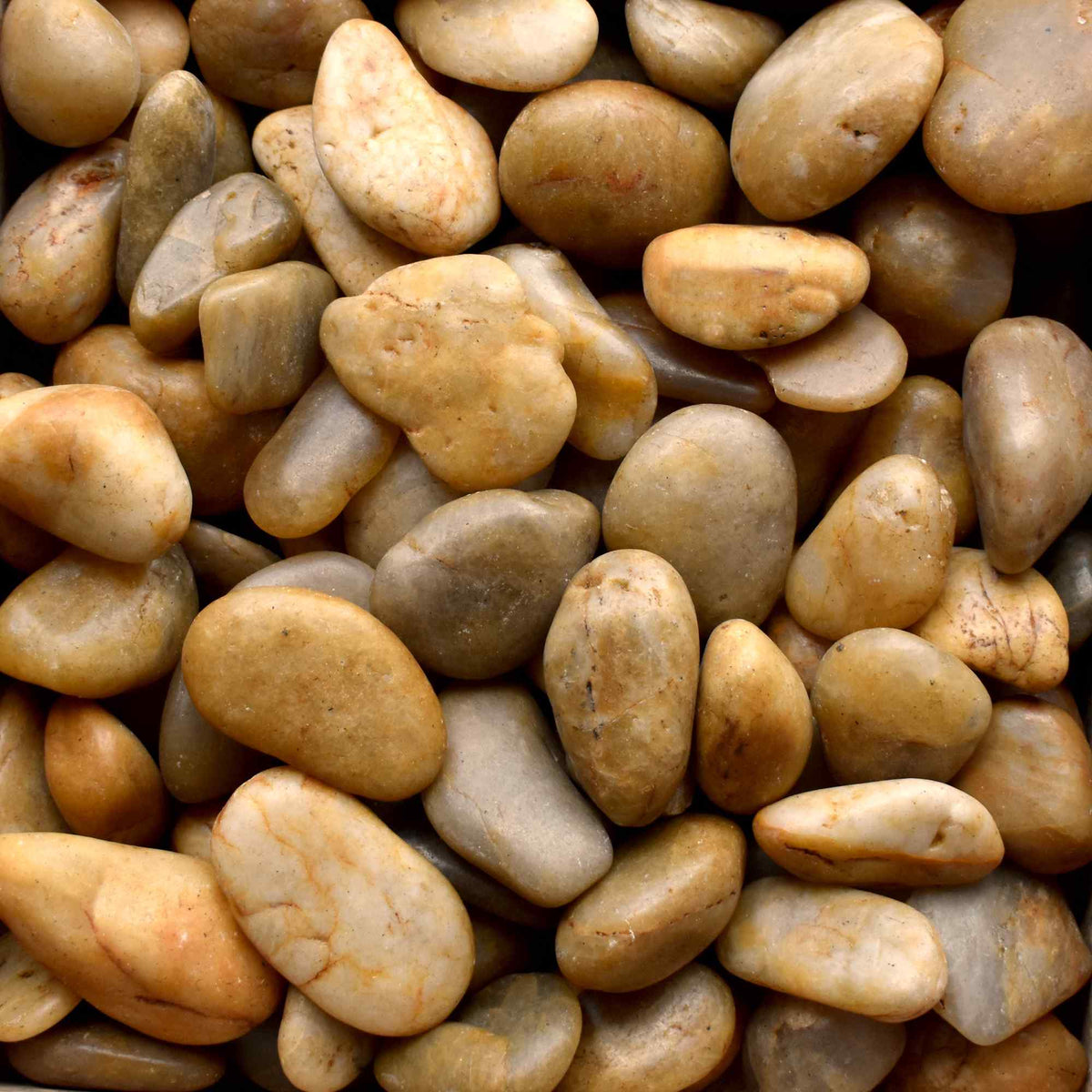 Yellow tan smooth rounded pebbles, natural stone rocks