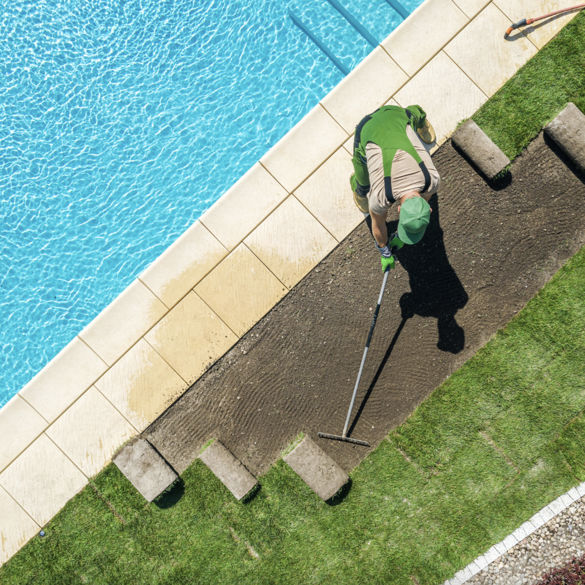Artificial Grass