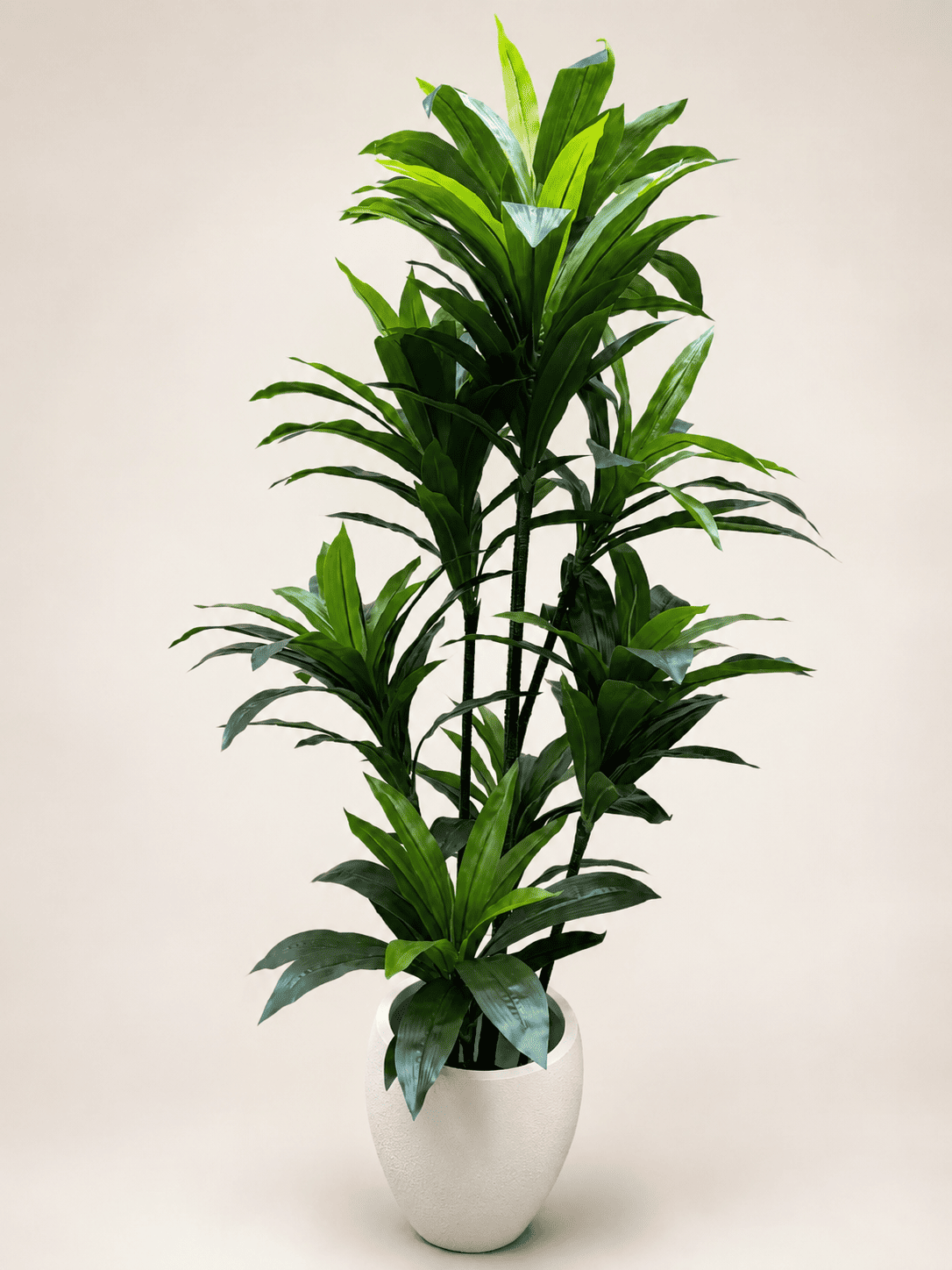 Artificial dracaena in light gray pot, upright glossy green leaves