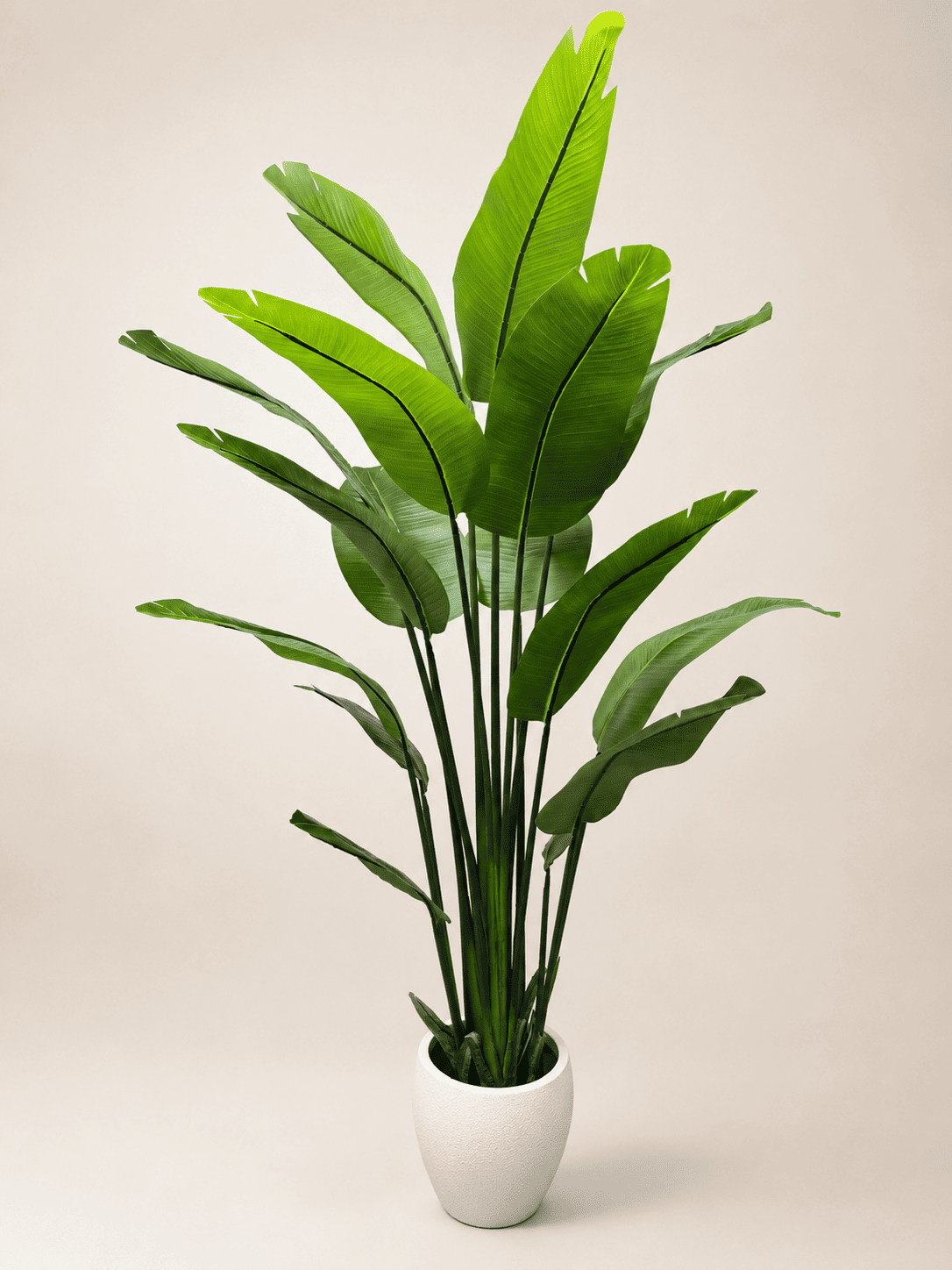 Artificial bird of paradise plant with bright green leaves in a white pot