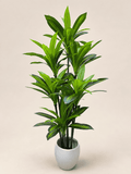 Artificial dracaena in light gray pot, tall stems with narrow green leaves