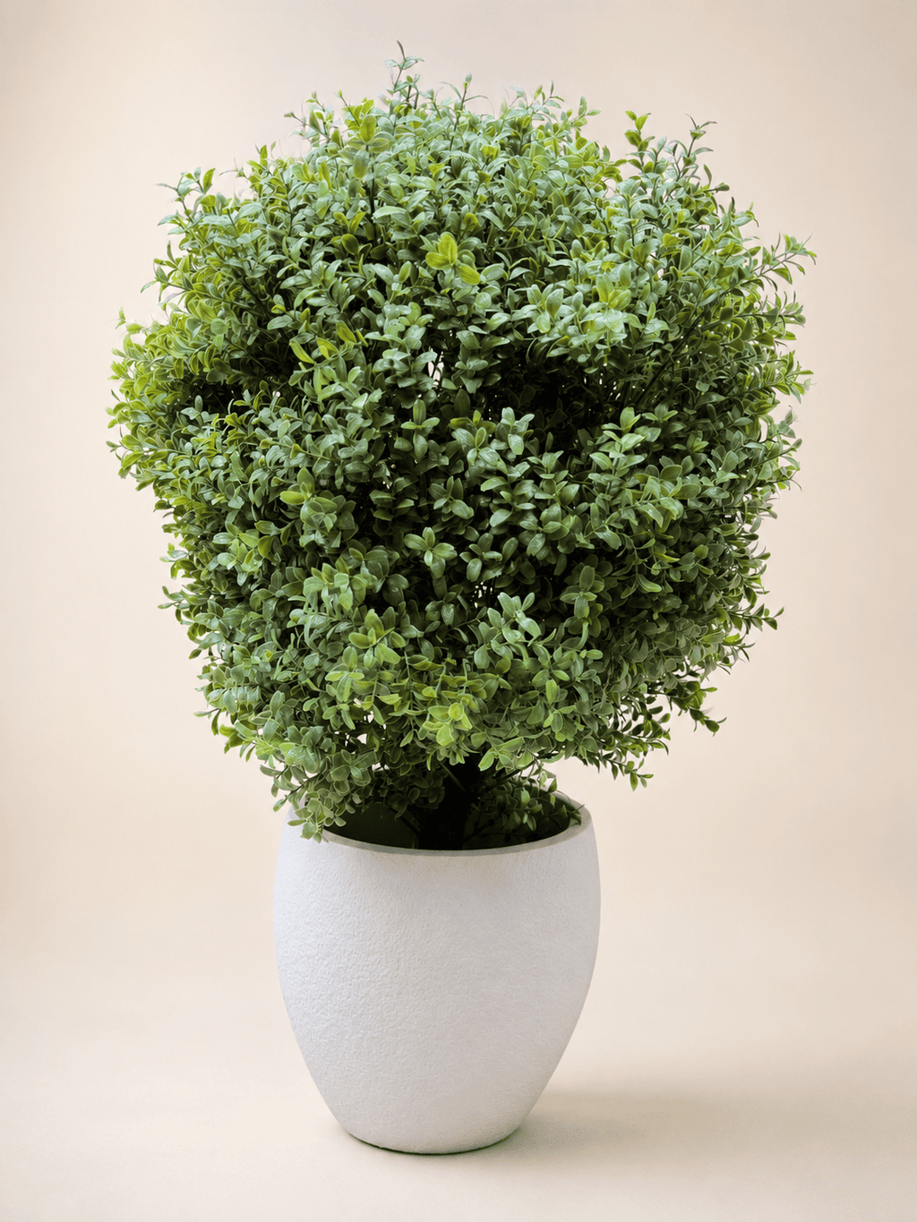 Artificial Ehretia ball topiary in white textured planter, dense bright green foliage
