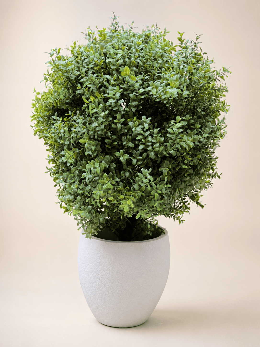 Artificial Ehretia ball topiary in white textured planter, dense bright green foliage