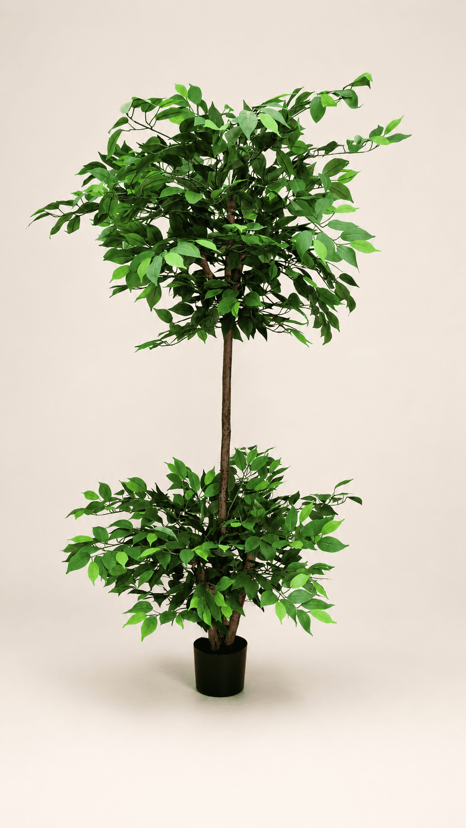 Artificial weeping fig tree with dense green leaves in black plastic pot