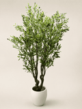 Large artificial olive tree with green leaves in a white pot
