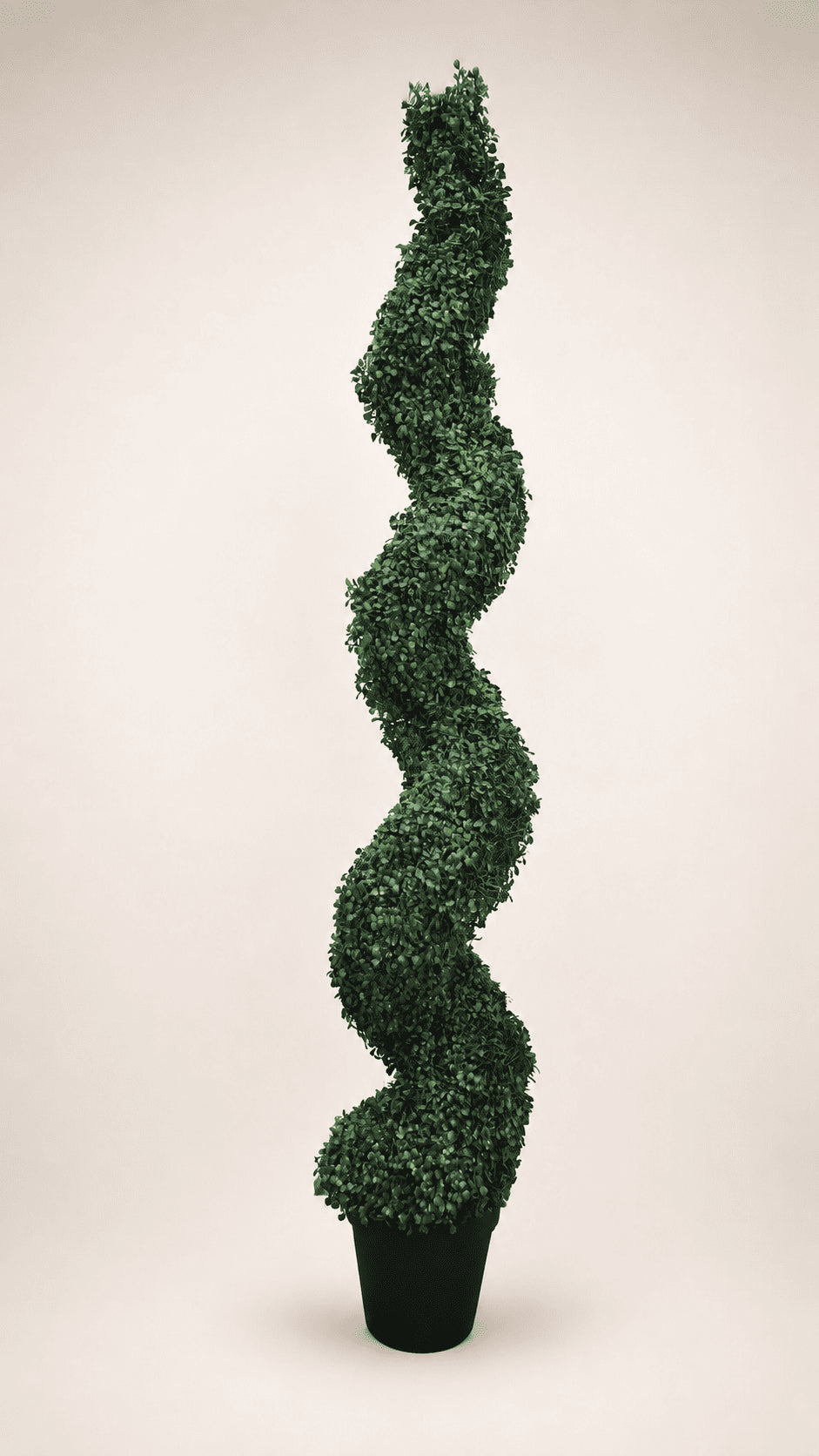 Artificial spiral Ficus tree with dense green leaves in dark pot