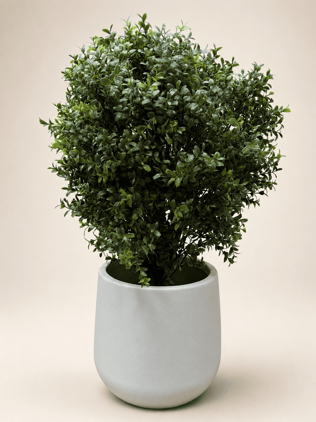 Artificial Ehretia ball topiary in white planter pot, thick dark-to-bright green leaves
