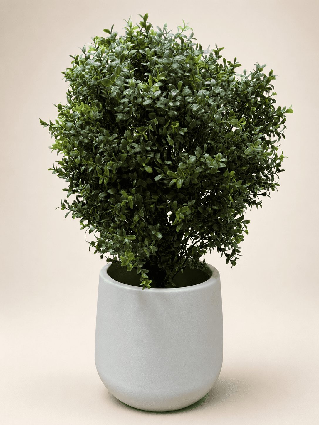 Artificial Ehretia ball topiary in white planter pot, thick dark-to-bright green leaves
