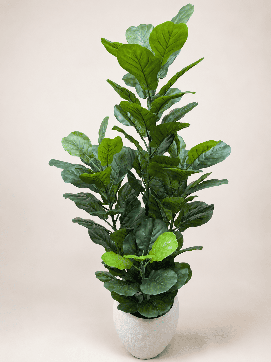 Artificial fiddle leaf fig tree with green lifelike leaves in a white ceramic pot