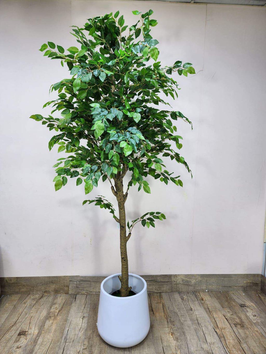 Artificial ficus tree with green leaves in a white pot