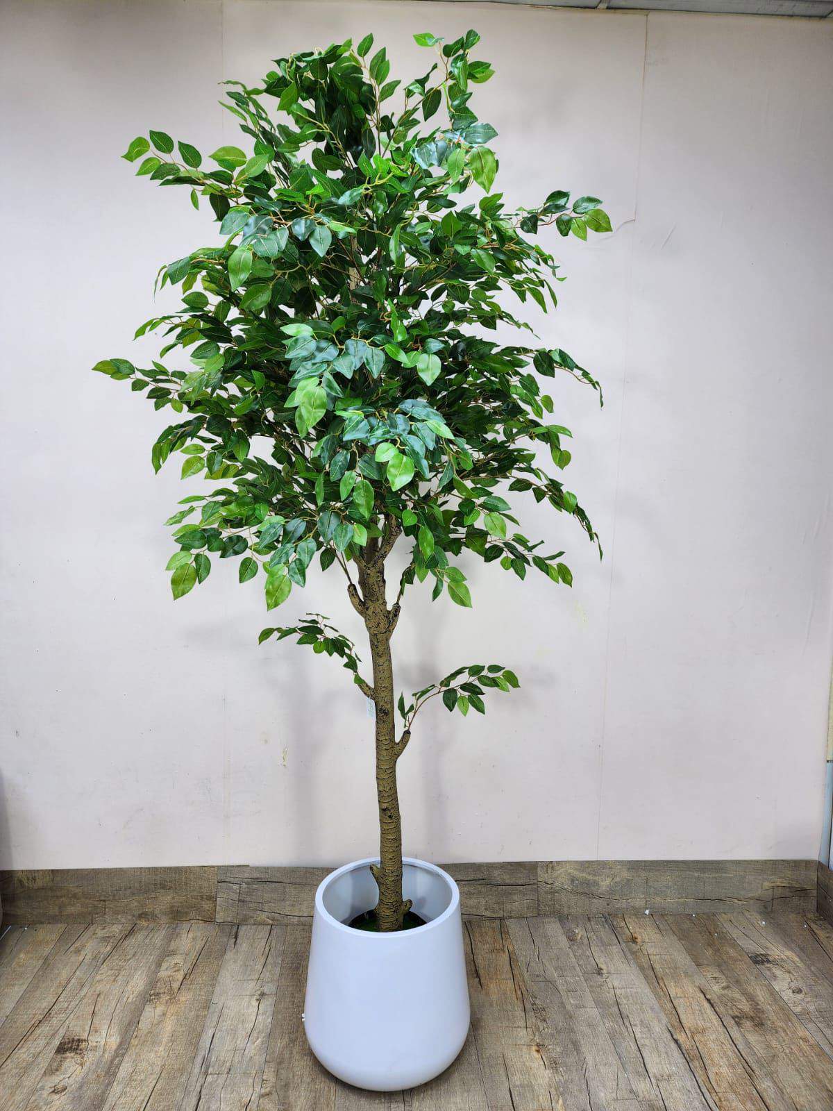 Artificial ficus tree with green leaves in a white pot
