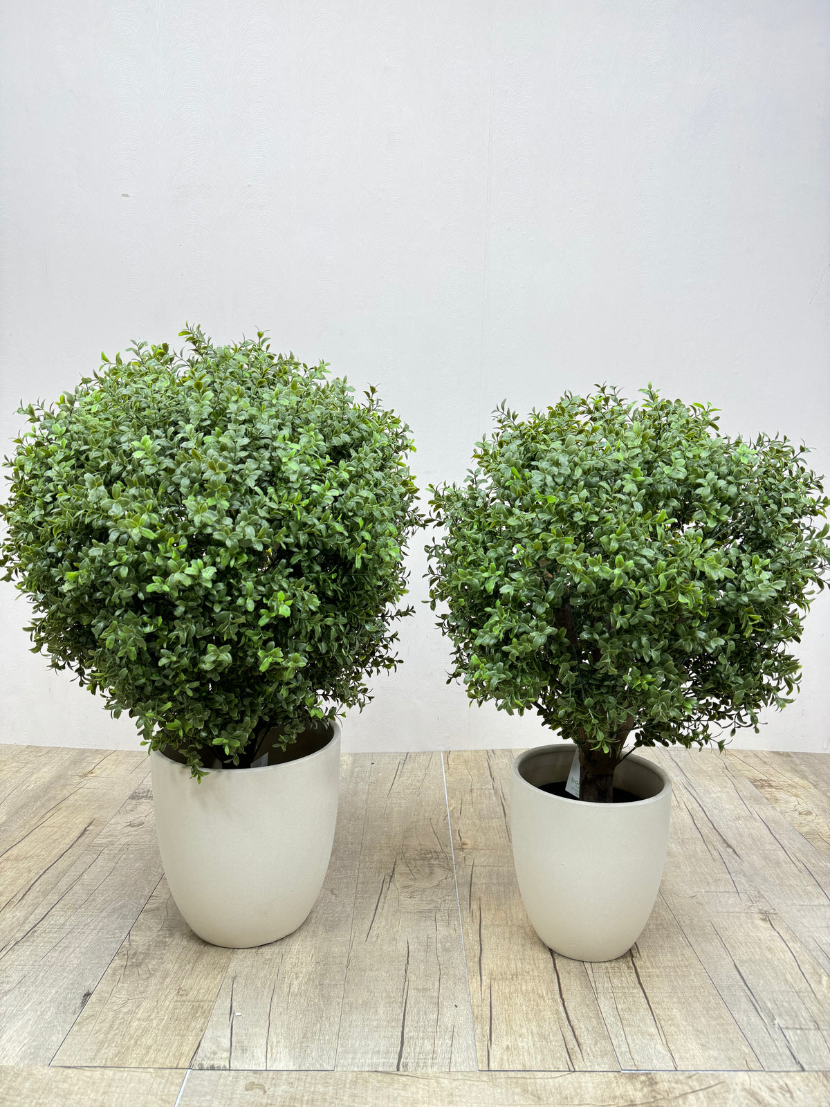 Artificial Ehretia ball topiary plants in two white round pots