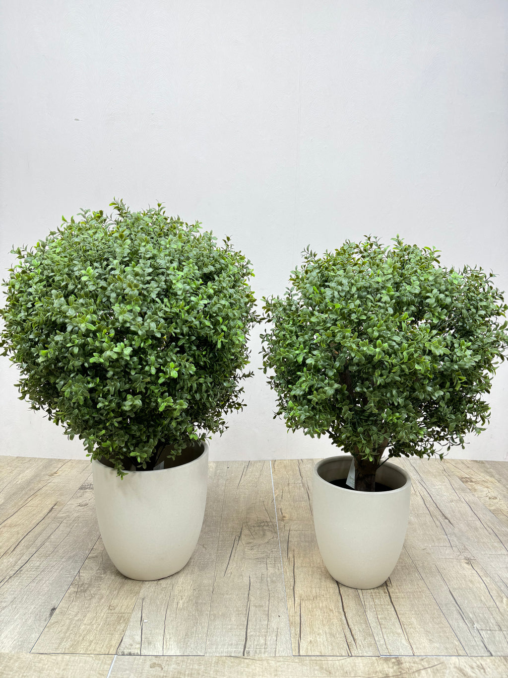 Artificial Ehretia ball topiary plants in two white round pots