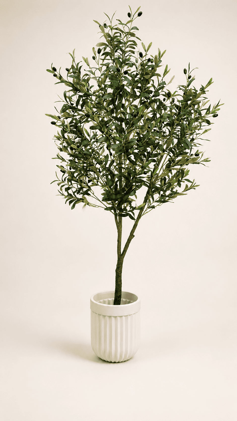 Artificial olive tree with green leaves in white ribbed ceramic pot