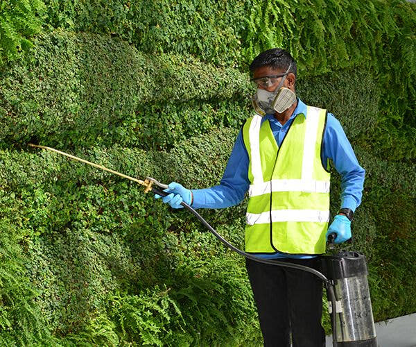 Pest Control