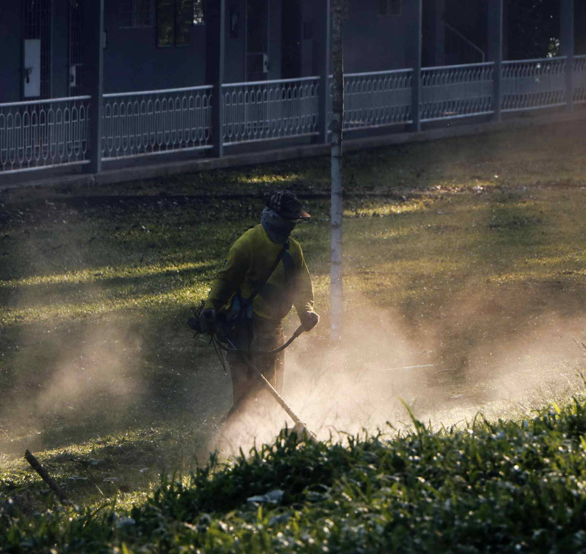 Lawn Mowing