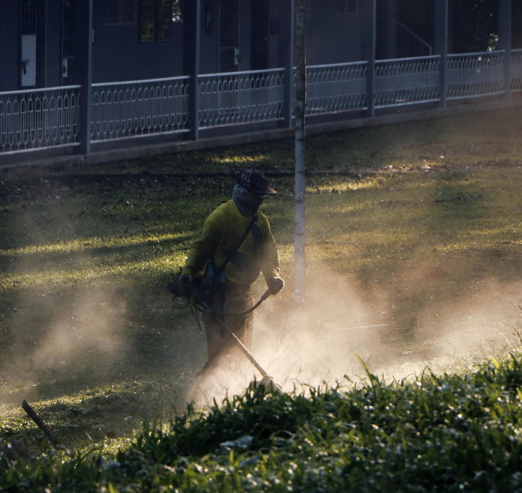 Lawn Mowing